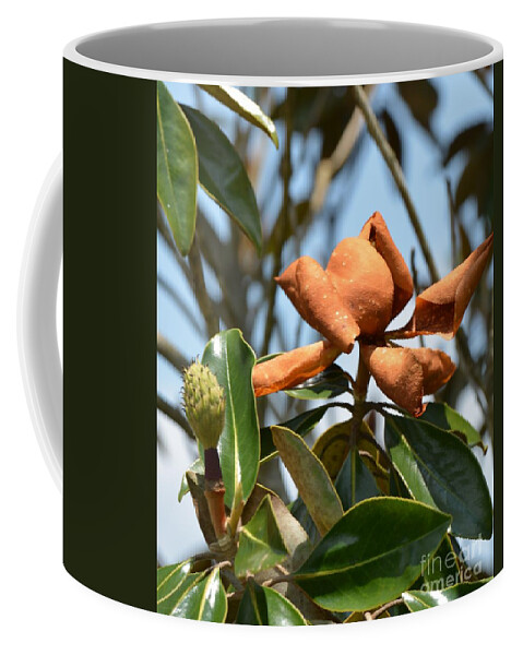 Bronzed By The Sun Coffee Mug featuring the photograph Bronzed By the Sun by Maria Urso