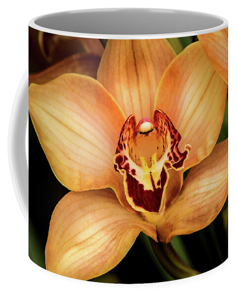 Flower Coffee Mug featuring the photograph Brookside Orchid by Don Johnson