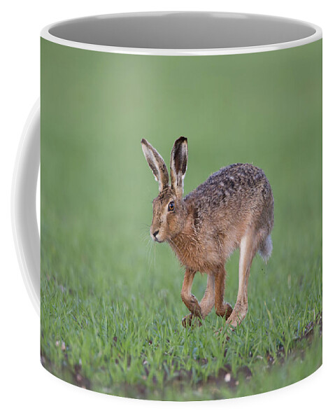 Brown Coffee Mug featuring the photograph Brown Hare Running by Pete Walkden