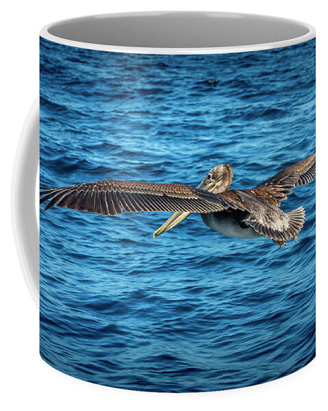 Brown Pelican Coffee Mug featuring the photograph Brown Pelican by Endre Balogh