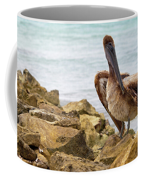 Pelican Coffee Mug featuring the photograph Brown Pelican by Sebastian Musial