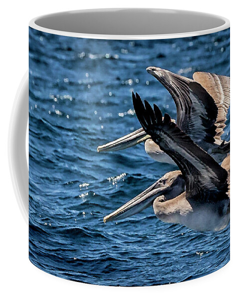 Brown Pelican Coffee Mug featuring the photograph Brown Pelicans by Endre Balogh