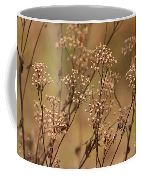 Nature Coffee Mug featuring the photograph Brown Plants in the Marsh by Carol Groenen