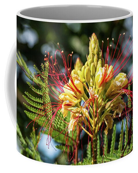 Flower Coffee Mug featuring the photograph Burst Of Beauty by Charles McCleanon