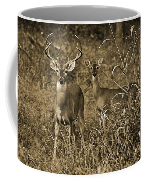 Buck And Doe In Sepia Coffee Mug featuring the photograph Buck and Doe in Sepia by Michael Tidwell