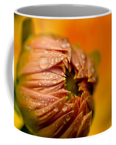 Dahlia Coffee Mug featuring the photograph Bud Drops by Mary Jo Allen