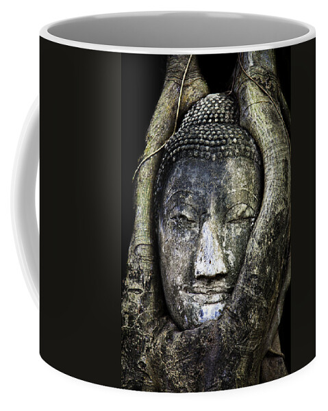 Buddha Head Coffee Mug featuring the photograph Buddha Head in Banyan Tree by Adrian Evans