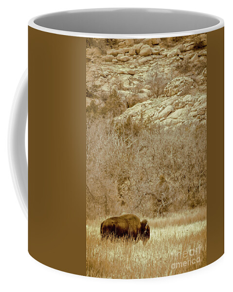 Animal Coffee Mug featuring the photograph Buffalo And Rocks by Robert Frederick