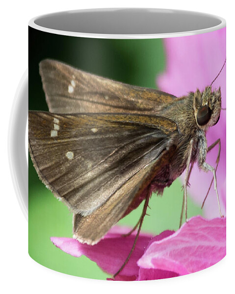 Wildlife Coffee Mug featuring the photograph Bug On A Flower by John Benedict