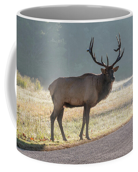 Bull Coffee Mug featuring the photograph Bull Elk Watching by D K Wall