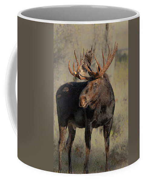 Bull Coffee Mug featuring the photograph Bull Moose Grand tetons by Gary Langley