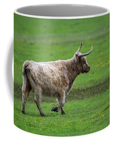 Furry Coffee Mug featuring the photograph Bull on the move by Paul Freidlund