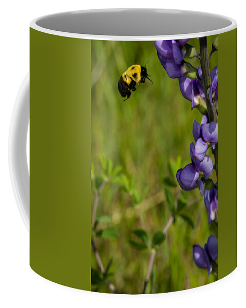 Insect Coffee Mug featuring the photograph Bumble Bee and Milk-Vetch by Jeff Phillippi