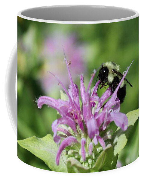 Bee Coffee Mug featuring the photograph Bumblebee on Bee Balm by Sarah Lilja