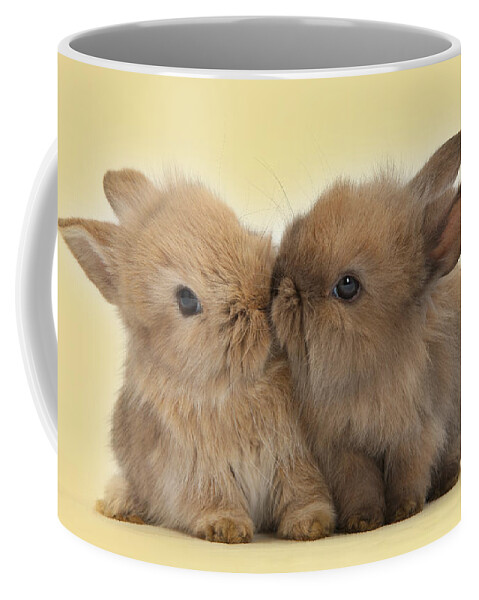 Two Coffee Mug featuring the photograph Bunny Kisses by Warren Photographic