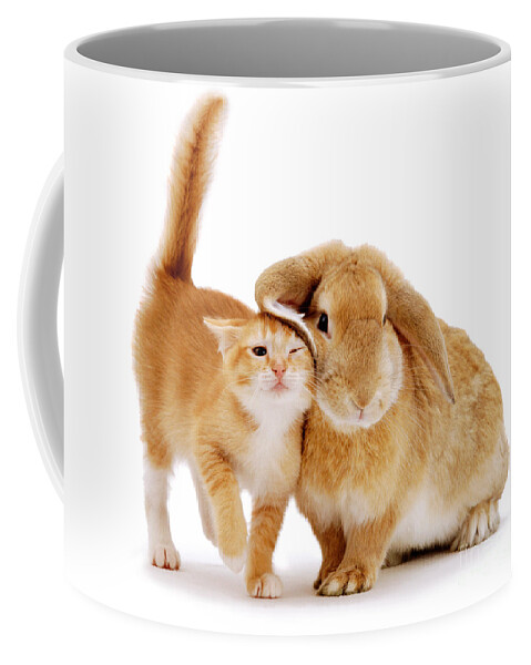 Kitten Coffee Mug featuring the photograph Bunny Rubbing by Warren Photographic