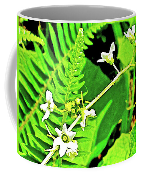 Bur Cucumber In Cape Meares State Park Coffee Mug featuring the photograph Bur Cucumber in Cape Meares State Park, Oregon by Ruth Hager