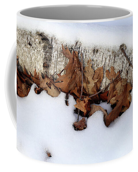 Birch Coffee Mug featuring the photograph Buried Birch 2 by Mary Bedy