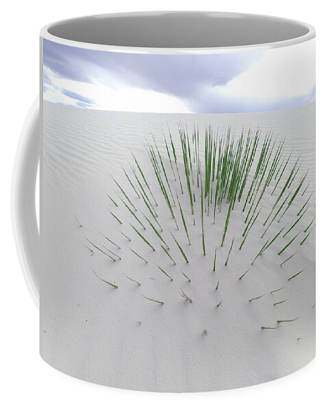 Cactus Coffee Mug featuring the photograph Buried by Christopher Brown