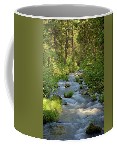 Burney Coffee Mug featuring the photograph Burney Creek 2 by Richard J Cassato