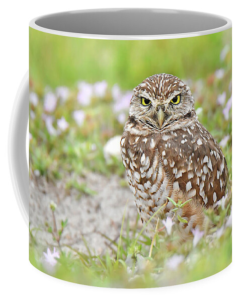 Bird Coffee Mug featuring the photograph Burrowing Owl by Alan Lenk