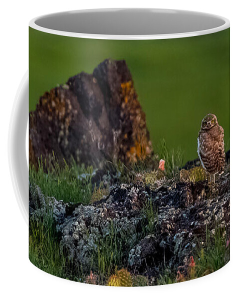 Burrowing Owl Coffee Mug featuring the photograph Burrowing Owl In Cactus #1 by Yeates Photography