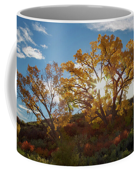 Cottonwood Coffee Mug featuring the photograph Burst Through the Trees by Jen Manganello