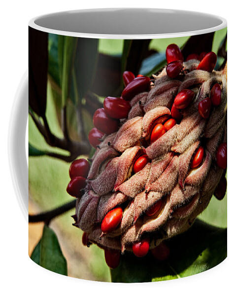 Seed Coffee Mug featuring the photograph Bursting Forth by Christopher Holmes