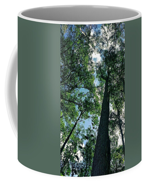 Landscape Coffee Mug featuring the photograph Bush Trees by Michael Blaine