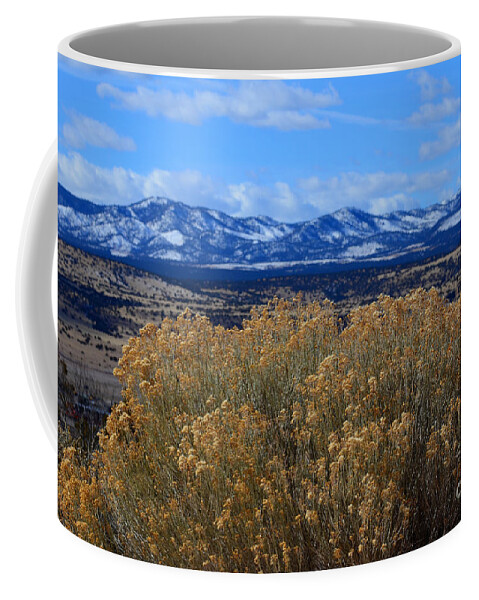 Southwest Landscape Coffee Mug featuring the photograph Bush with a view by Robert WK Clark
