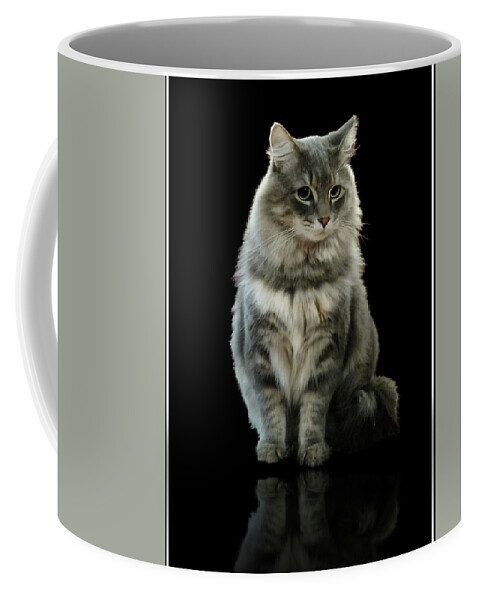 Cat Coffee Mug featuring the photograph Bustopher Jones by Aleksander Rotner