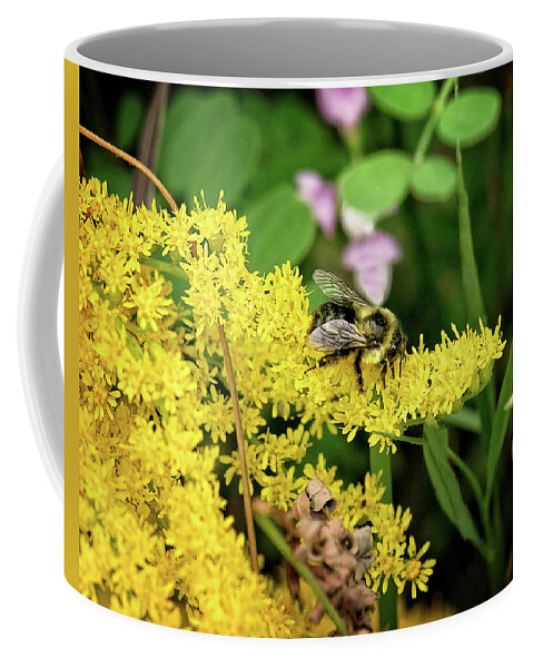 Bumble Bee Print Coffee Mug featuring the photograph Busy as a Bee Print by Gwen Gibson