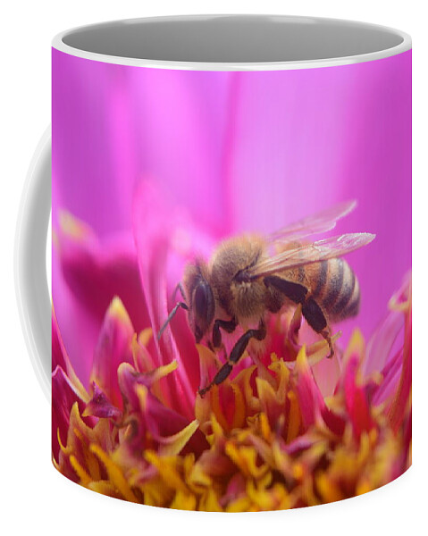 Busy Bee Coffee Mug featuring the photograph Busy Bee by Bonnie Bruno