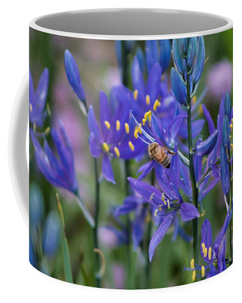 Bee Coffee Mug featuring the photograph Busy Bee by Brian Eberly