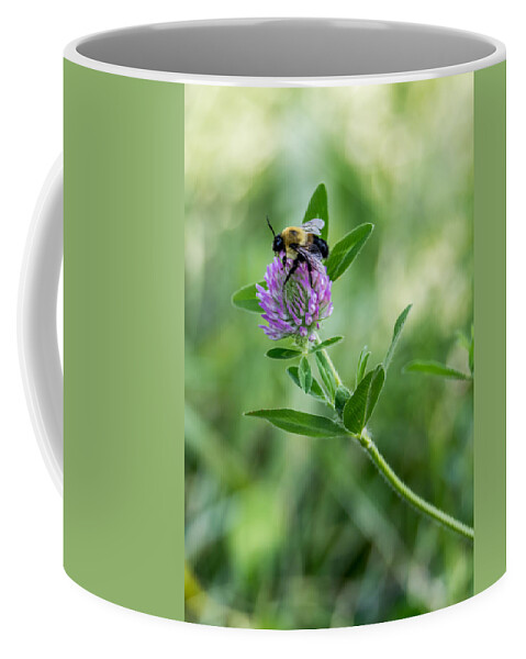 Bee Coffee Mug featuring the photograph Busy Bee by Holden The Moment
