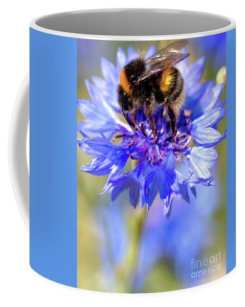 Cornflower Coffee Mug featuring the photograph Busy Little Bee by Baggieoldboy