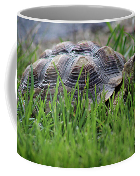 Reptile Coffee Mug featuring the photograph But He Has a Great Personality by Karen Adams