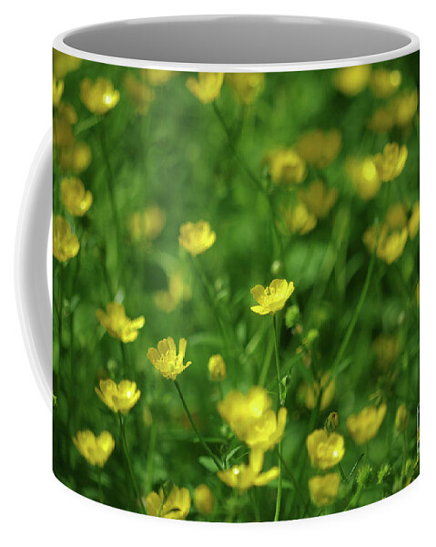 Anther Coffee Mug featuring the photograph Buttercup Field- Butler Creek Trail- Gresham- Oregon by Rick Bures