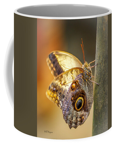 Butterfly Coffee Mug featuring the photograph Butterfly 02 by Will Wagner