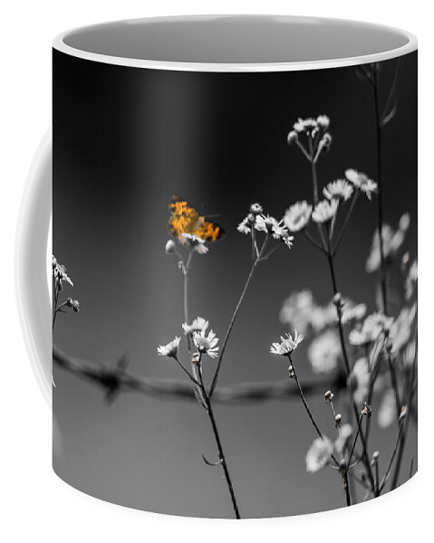 Butterfly Coffee Mug featuring the photograph Butterfly and Barb Wire by Holden The Moment