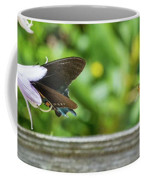 Butterfly Coffee Mug featuring the photograph Butterfly and Bee by D K Wall