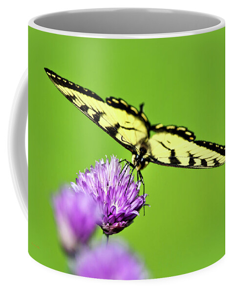 Butterfly Coffee Mug featuring the photograph Butterfly Art Of Balance by Christina Rollo