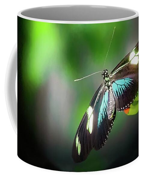 Cleveland Botanical Gardens Coffee Mug featuring the photograph Butterfly at Cleveland Botanical Gardens by Richard Goldman