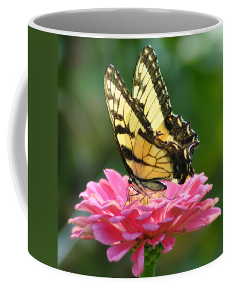 Butterfly Coffee Mug featuring the photograph Butterfly by Bill Cannon