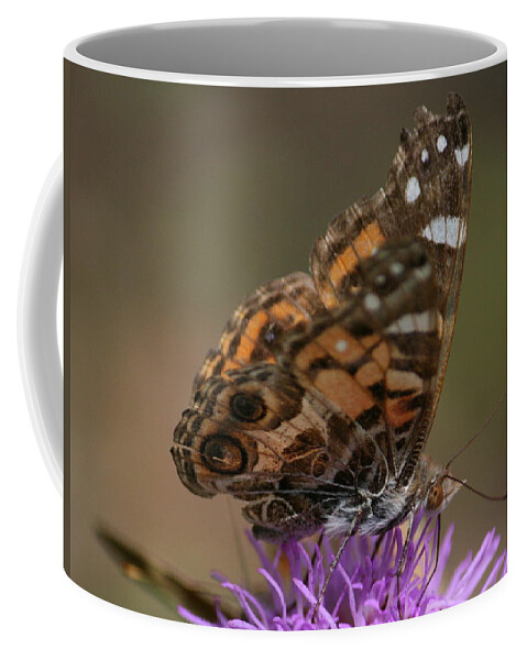 Butterfly Coffee Mug featuring the photograph Butterfly by Cathy Harper