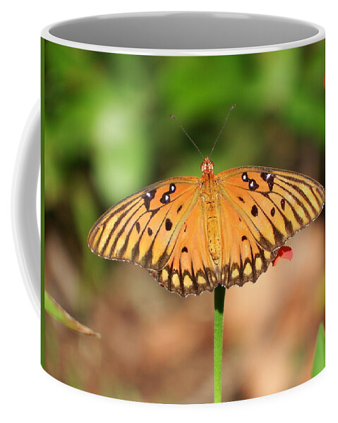 Butterfly Coffee Mug featuring the photograph Butterfly Flower by Cathy Harper