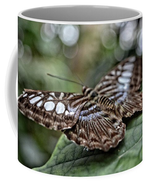 Colorado Coffee Mug featuring the photograph Butterfly III by FineArtRoyal Joshua Mimbs