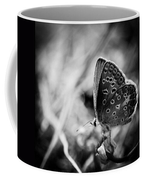 Butterfly Coffee Mug featuring the photograph Butterfly in black and white by Mirko Chessari