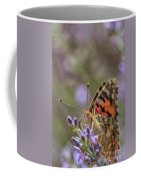 Flower Coffee Mug featuring the photograph Butterfly in close up by Patricia Hofmeester