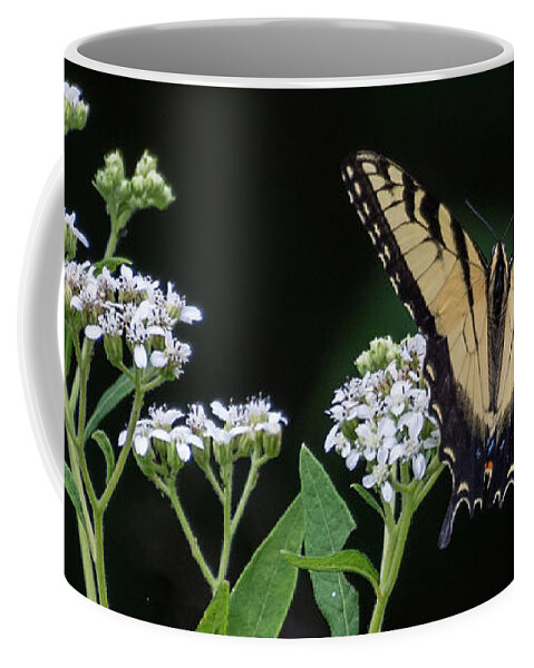 Wildlife Coffee Mug featuring the photograph Butterfly Landing by John Benedict